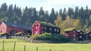 Cabin, 2 Bedrooms, Terrace, Garden View | Exterior - Cozy Cabin Retreat in Scenic Valley, E6 South of Trondheim (Midtre Gauldal)