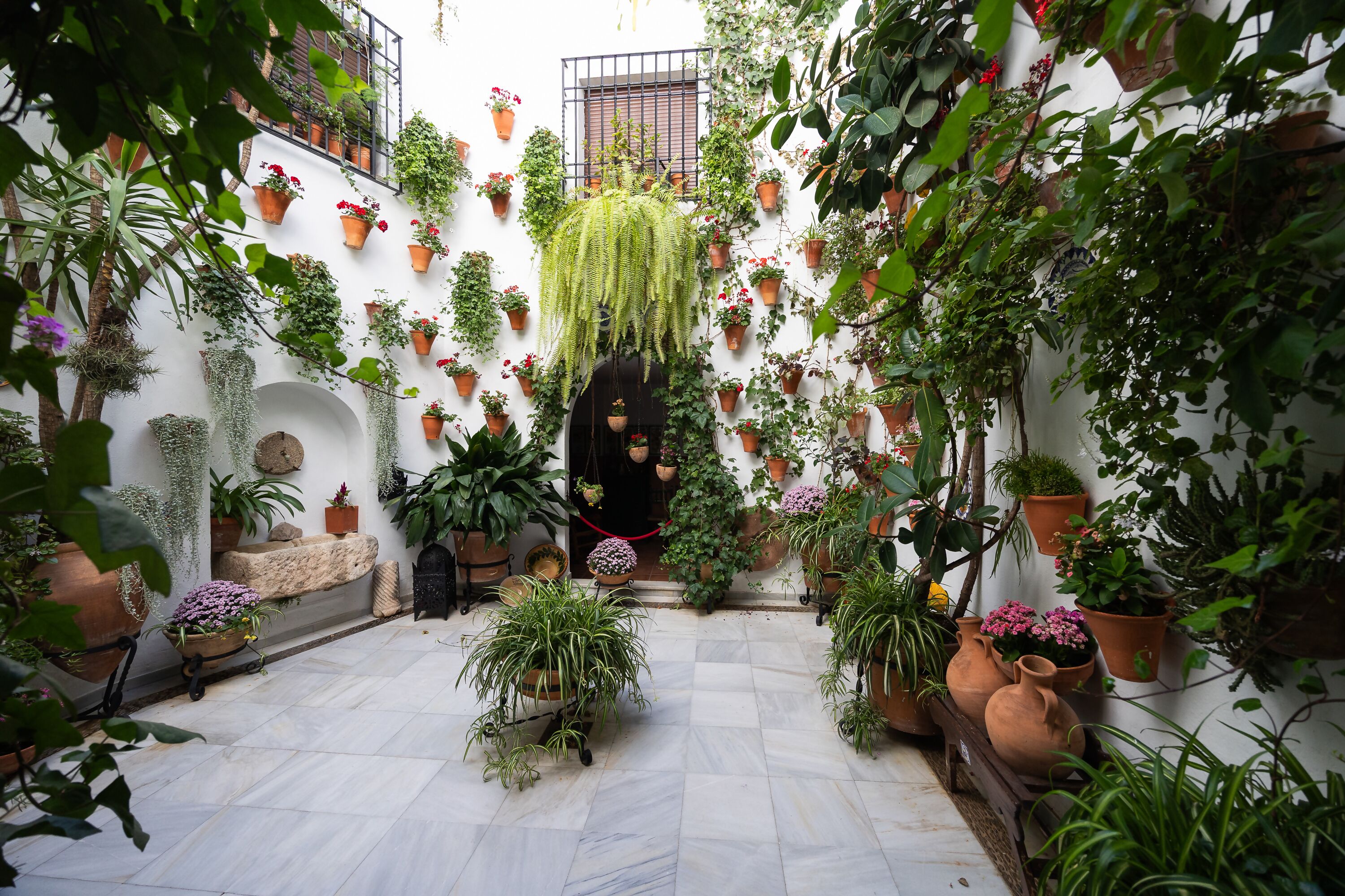 Jardines del alojamiento