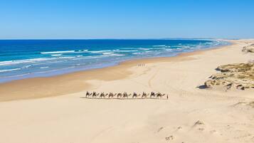 Beach nearby