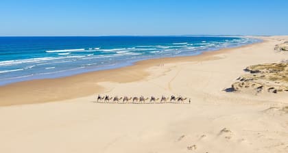 8 Ocean Avenue - Pet Friendly, Wi-Fi, views and Aircon
