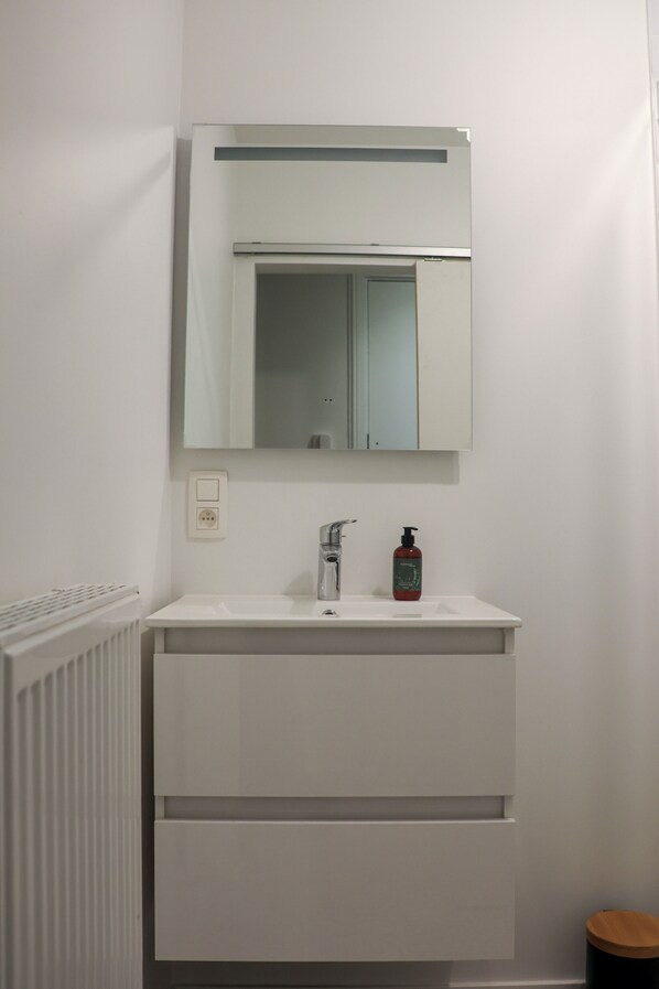 Secadora de cabello, toallas, jabón, papel de baño 