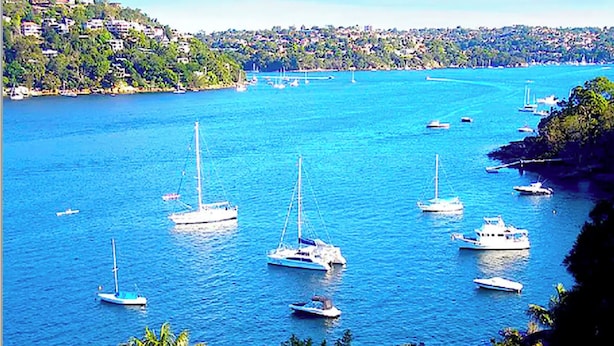A coastal area with multiple sailboats anchored in calm waters, surrounded by lush greenery and a distant town.