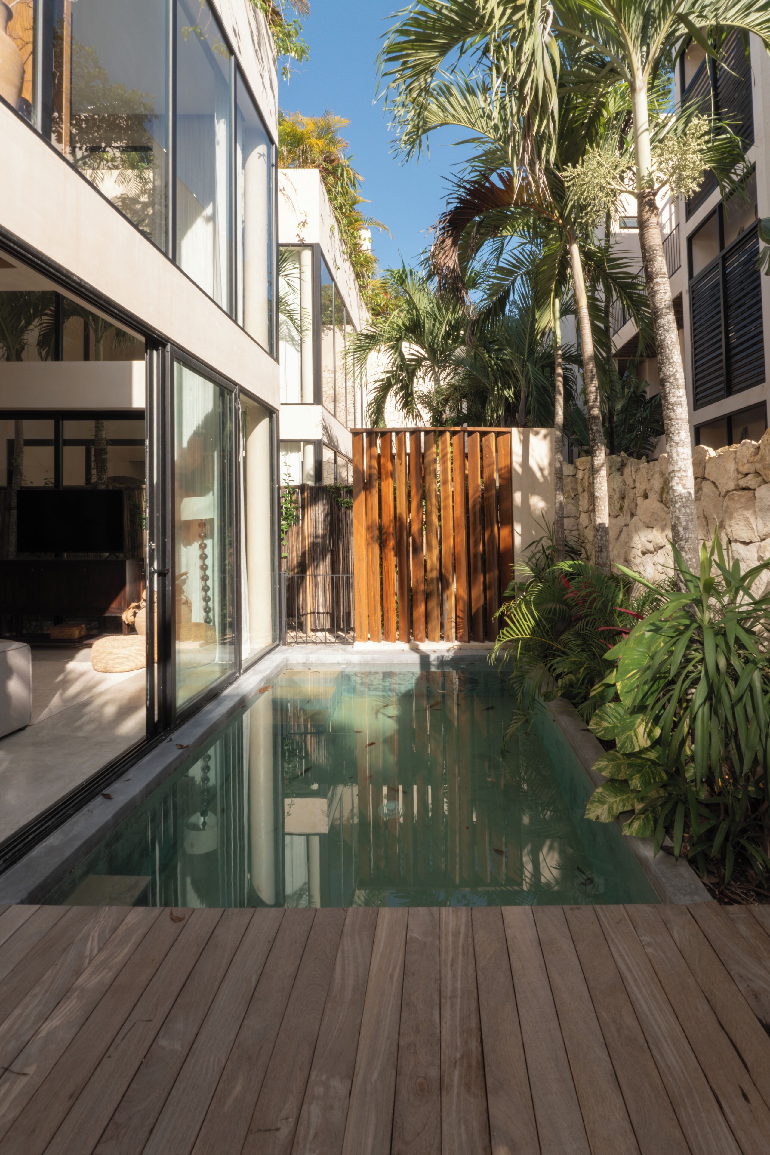 A modern house with a wooden deck, a swimming pool, and tropical plants.