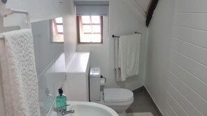 Shower, hair dryer, towels, toilet paper