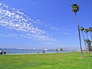 Unclassified image, 5 of 26, button