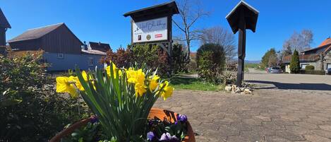 A signboard for Hotel Blackberg, a restaurant, and a flower bed with yellow flowers.