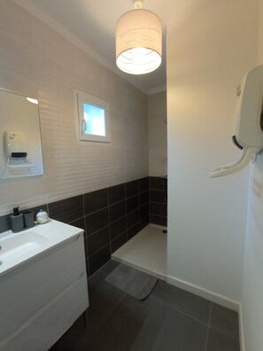 Shower, hair dryer, towels