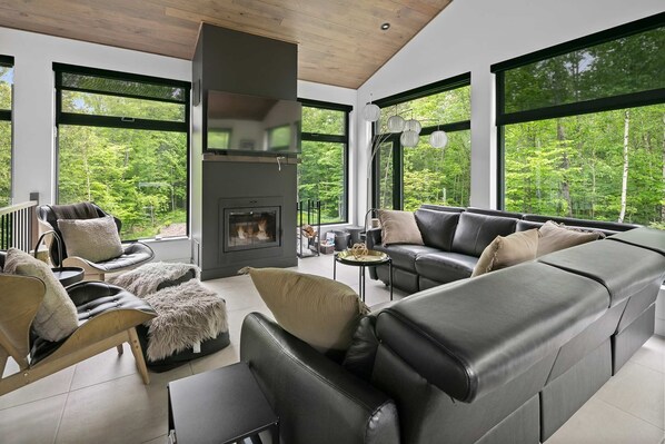 TV, fireplace, stereo, offices - Eastman - Spa - Zénitude (Eastman)