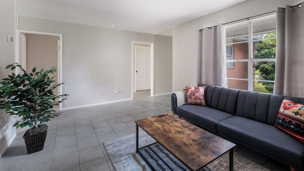 A spacious living area with a dark sofa, a wooden coffee table, and a potted plant.