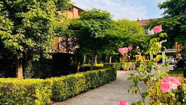 A cobblestone pathway in a garden with neatly trimmed hedges and flowering plants. - Mattia House within walking distance of the Center  (Lucca)