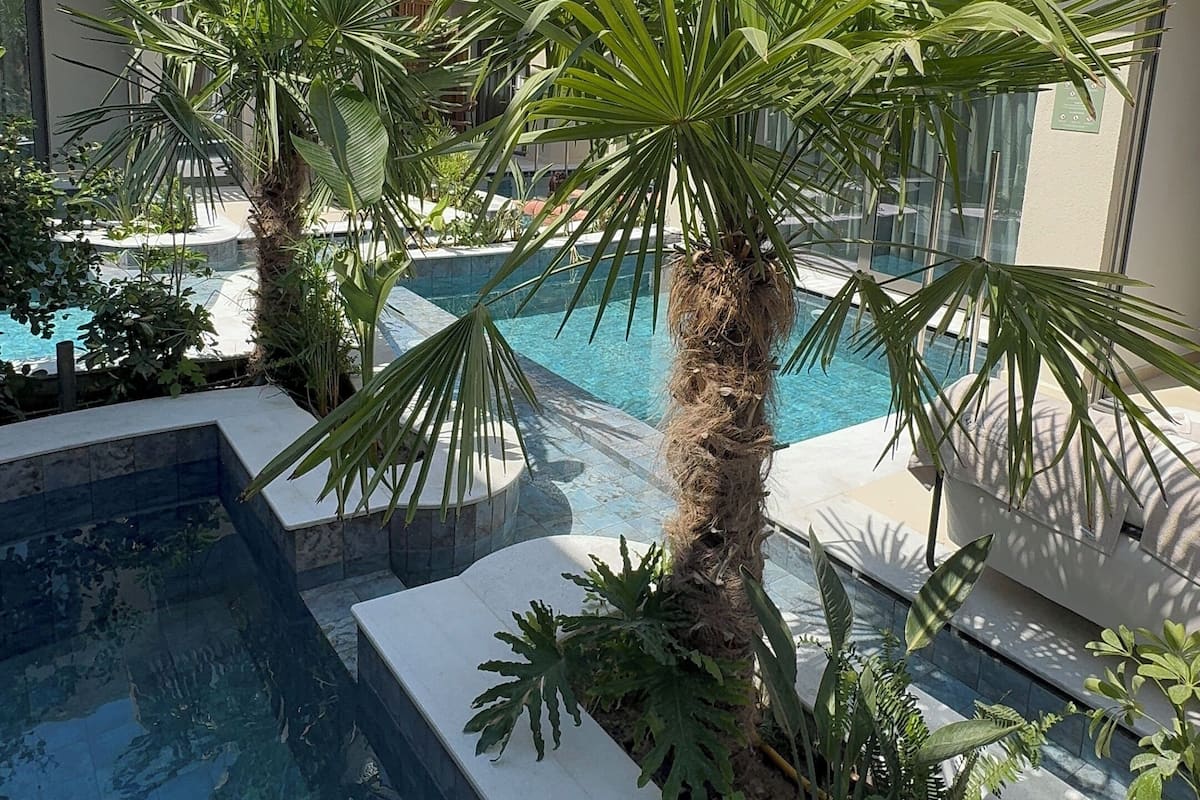 Luxury Suite with Heated Swim Up Pool | Teres/patio