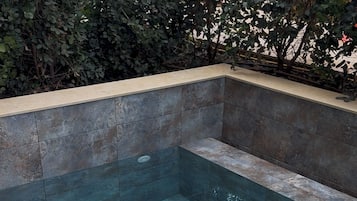 Deluxe Room with Heated Swim Up Pool | Terrasse/Patio