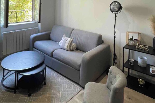 TV - L'Herbe ou Ville : Bright modern apartment downtown + Park (Lyon)