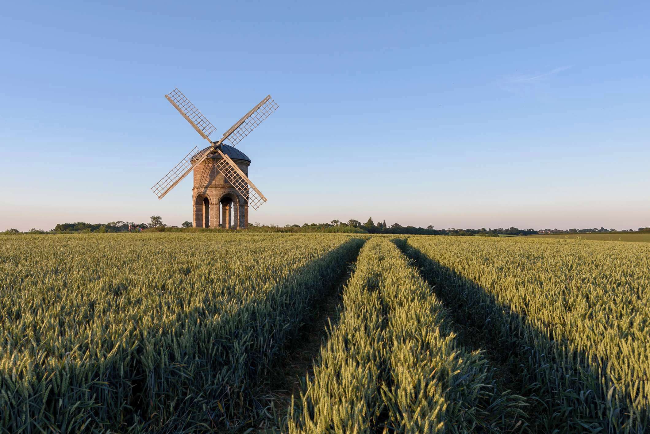 Een windmolen in een veld.