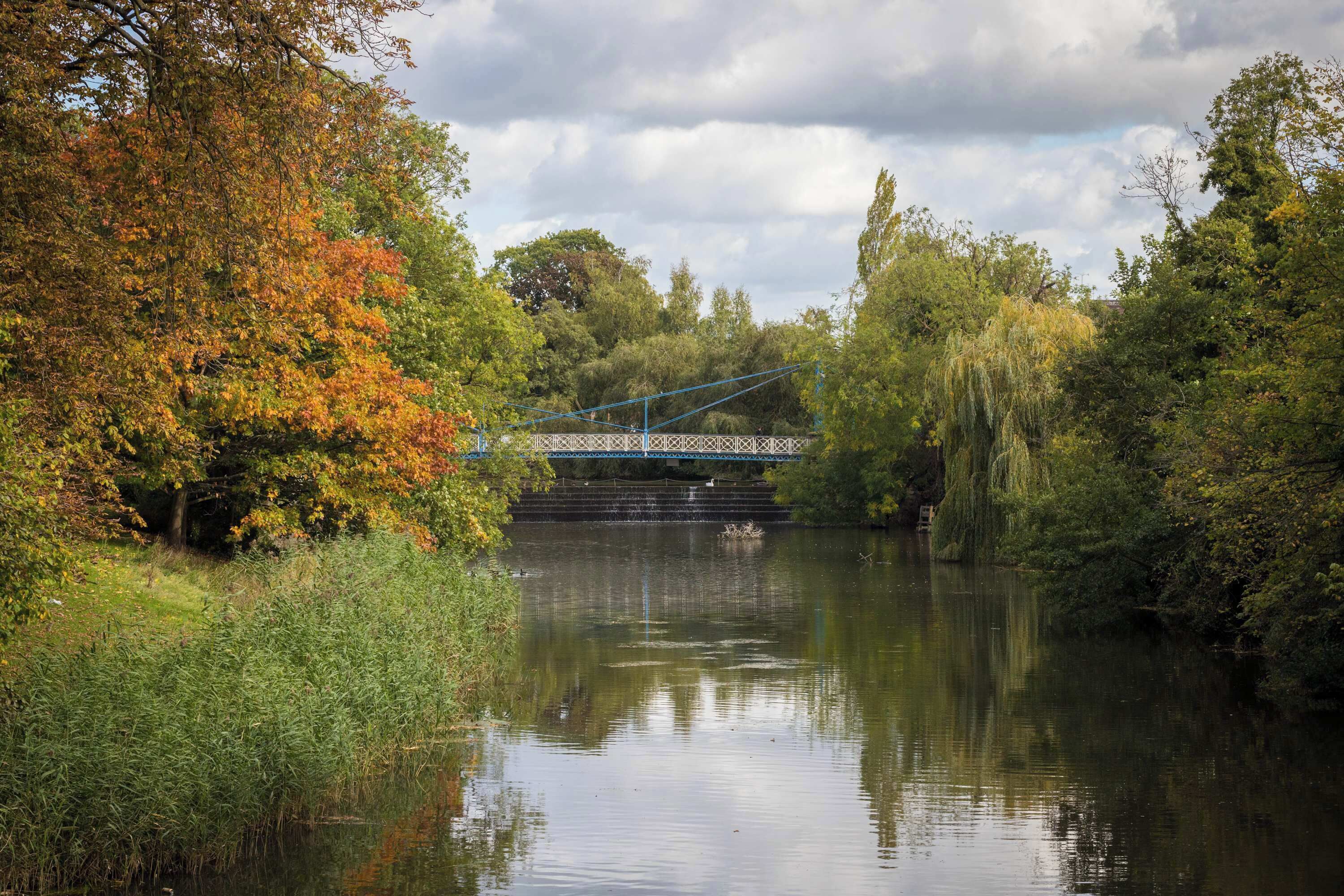 Une rivière traversée par un pont, bordée d’arbres et de végétation.