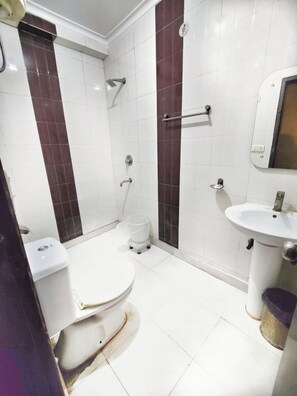 Double or Twin Room | Bathroom - Hotel the terminal (New Delhi)