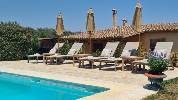 Zona junto a la piscina con sillones de descanso y sombrillas, techo de baldosas y una planta en maceta.