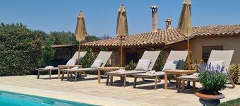 Charming holiday house surrounded by vineyards 60km from Barcelona for groups