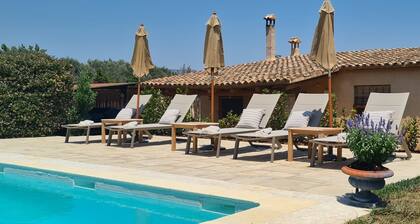 Charming holiday house surrounded by vineyards 60km from Barcelona for groups