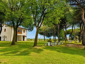 A grassy area with trees and a building with a flat roof. - Cà Elena House in the Po Delta Park, a few kilometers from Lido di Volano (Emilia-Romagna)