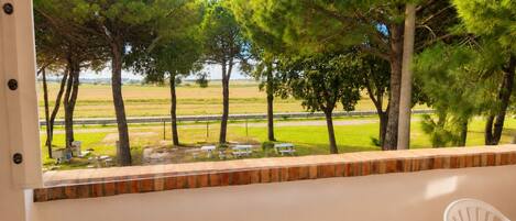 A balcony with a view of trees and a road.