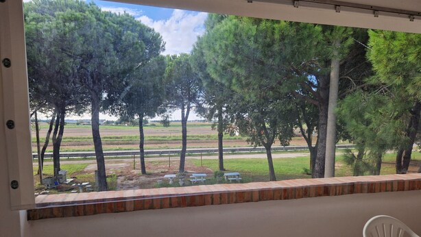 A balcony with a view of trees and fields. - Cà Elena house located in the Po Delta park a few kilometers from Lido di Volano  (Emilia-Romagna)