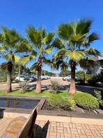 Jardim