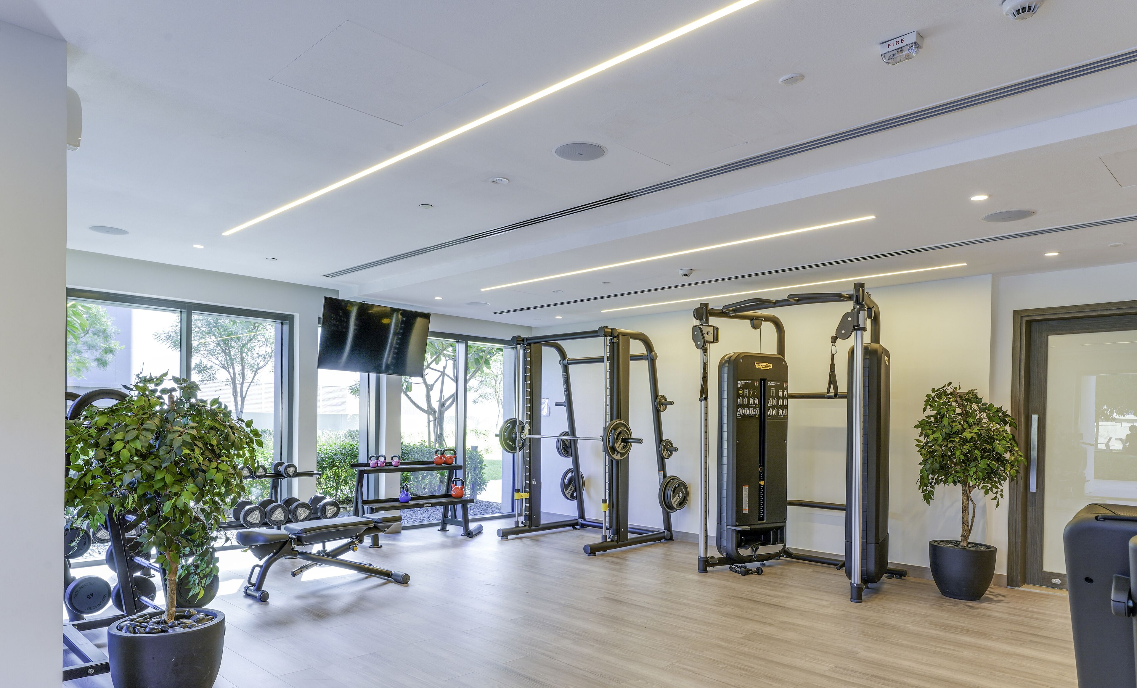 A modern gym with weightlifting equipment, large windows, and indoor plants.