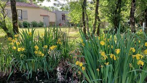 Un jardin avec des fleurs jaunes et un bâtiment en arrière-plan.