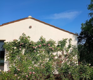 Property grounds - Large house, heated pool, pool house, close to beaches. (Saint-Vincent-sur-Graon)