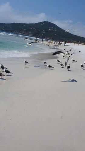 Beach house in Arraial do Cabo, Summer Beach condominium. Also through other platforms