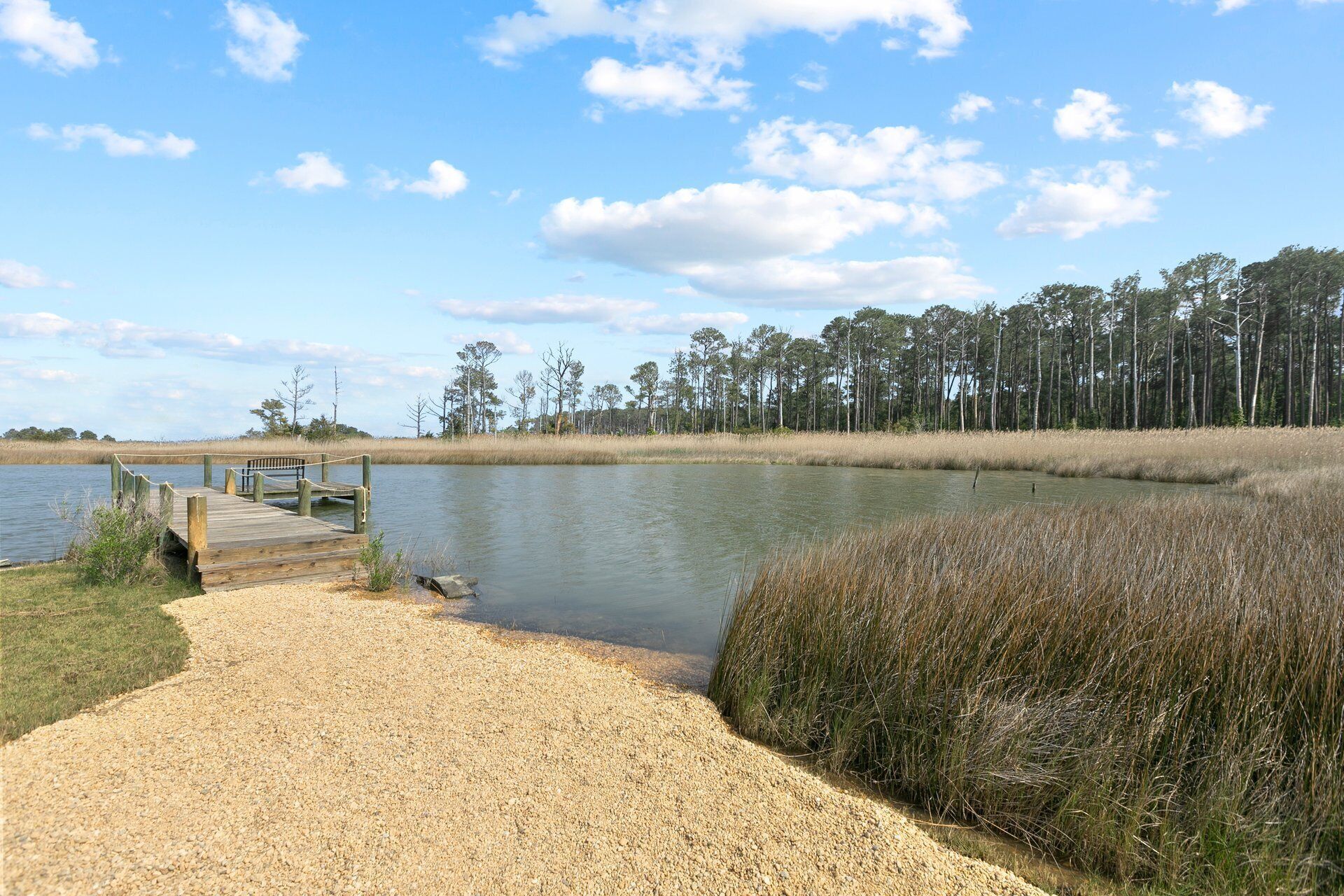 A gravel path leading to a wooden dock over a calm body of water, surrounded by tall grasses and a line of trees.