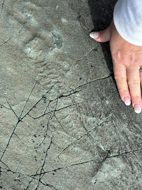 Una mano sobre una superficie de piedra agrietada.