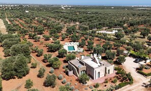 An aerial view of a property with a swimming pool surrounded by olive trees, a stone building, and a paved driveway. - TD Torretta Macram Amid the Mediterranean Scrub (Fasano)