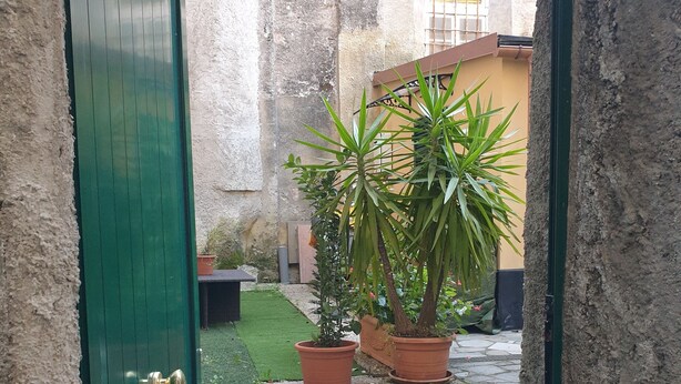 Un patio con una puerta verde, plantas en macetas y un camino de piedra.