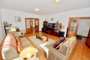 Televisión, videojuegos, reproductor de DVD, libros