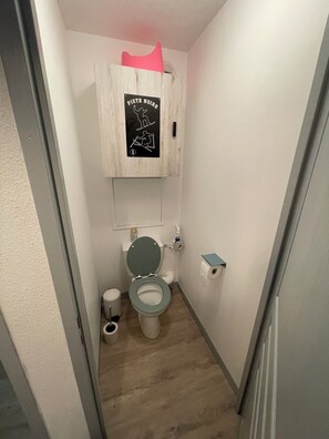 Hair dryer, toilet paper - Charming renovated family mountain apartment - 2 stars  (Saint-Sorlin-d'Arves)