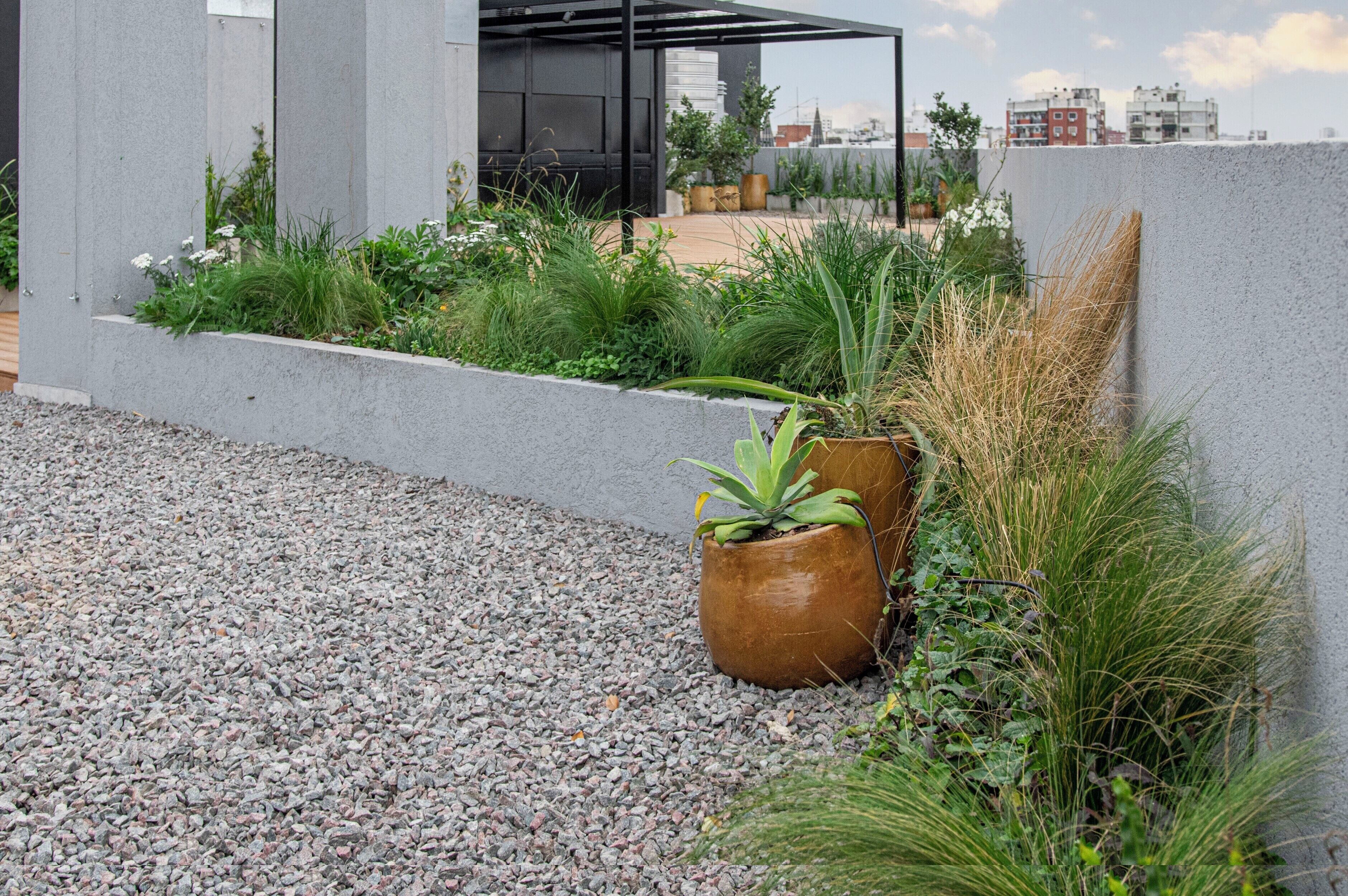 Un jardin sur le toit, agrémenté de diverses plantes et d’un grand pot de fleurs.