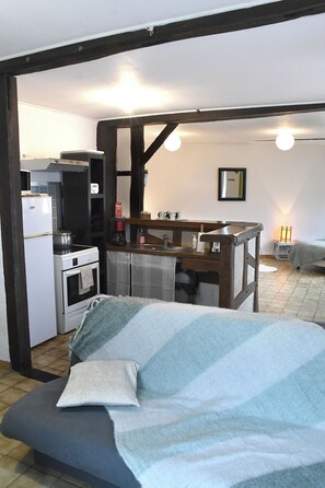 Interior - Charming apartment in the heart of the medieval town (Mennetou-sur-Cher)