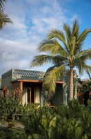 Premium bedding, down comforters, minibar, in-room safe