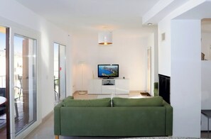 TV, fireplace, DVD player, books