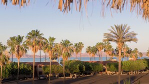 A coastal street lined with palm trees and a building with a red roof. - 7bdrm  boutique hotel with AC, WiFi , heated pool convenient location. (Loreto)