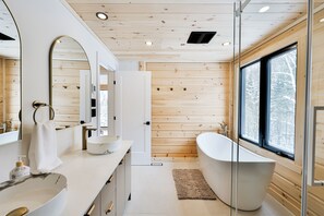 Shower, towels, toilet paper
