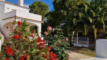 Terrein van de accommodatie