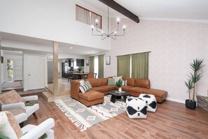 TV, fireplace, video games