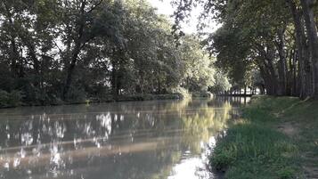 A calm river with trees on both sides, a grassy bank, and a clear sky.
