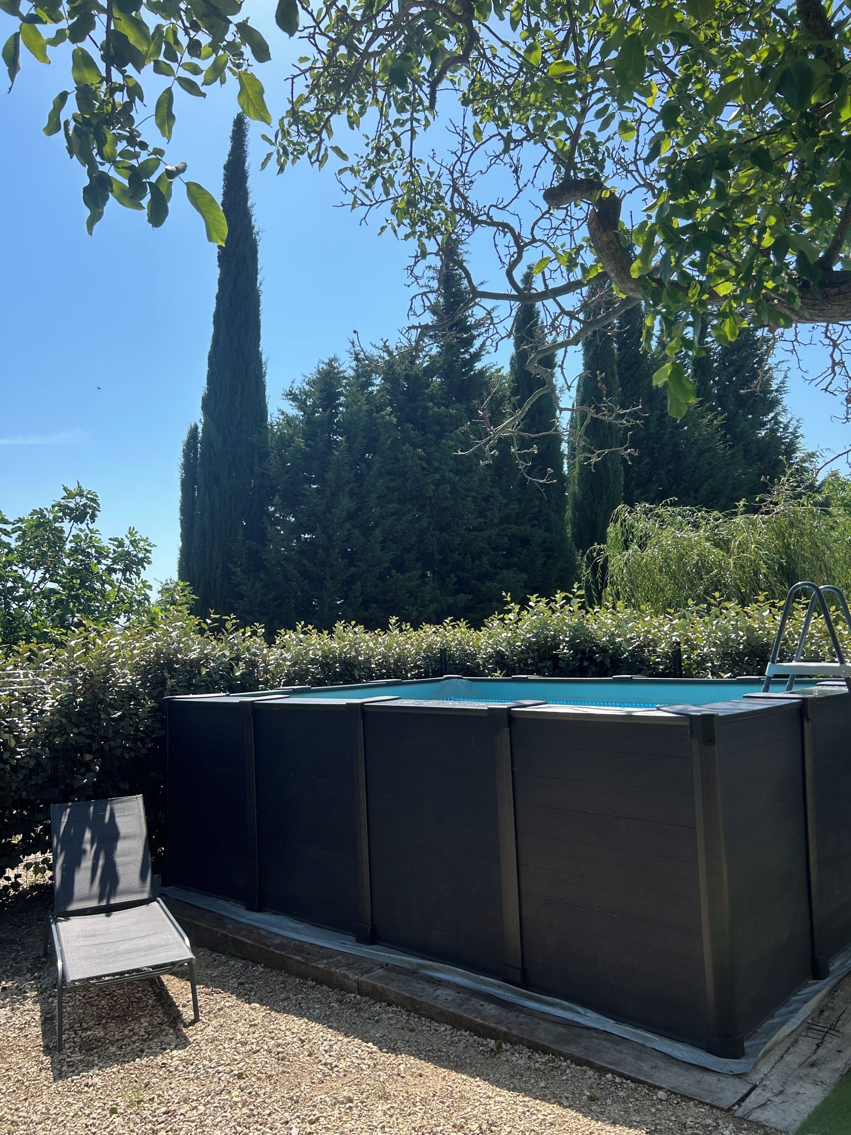 Ein Swimmingpool mit einer dunklen Abdeckung, umgeben von Grünpflanzen und Bäumen.