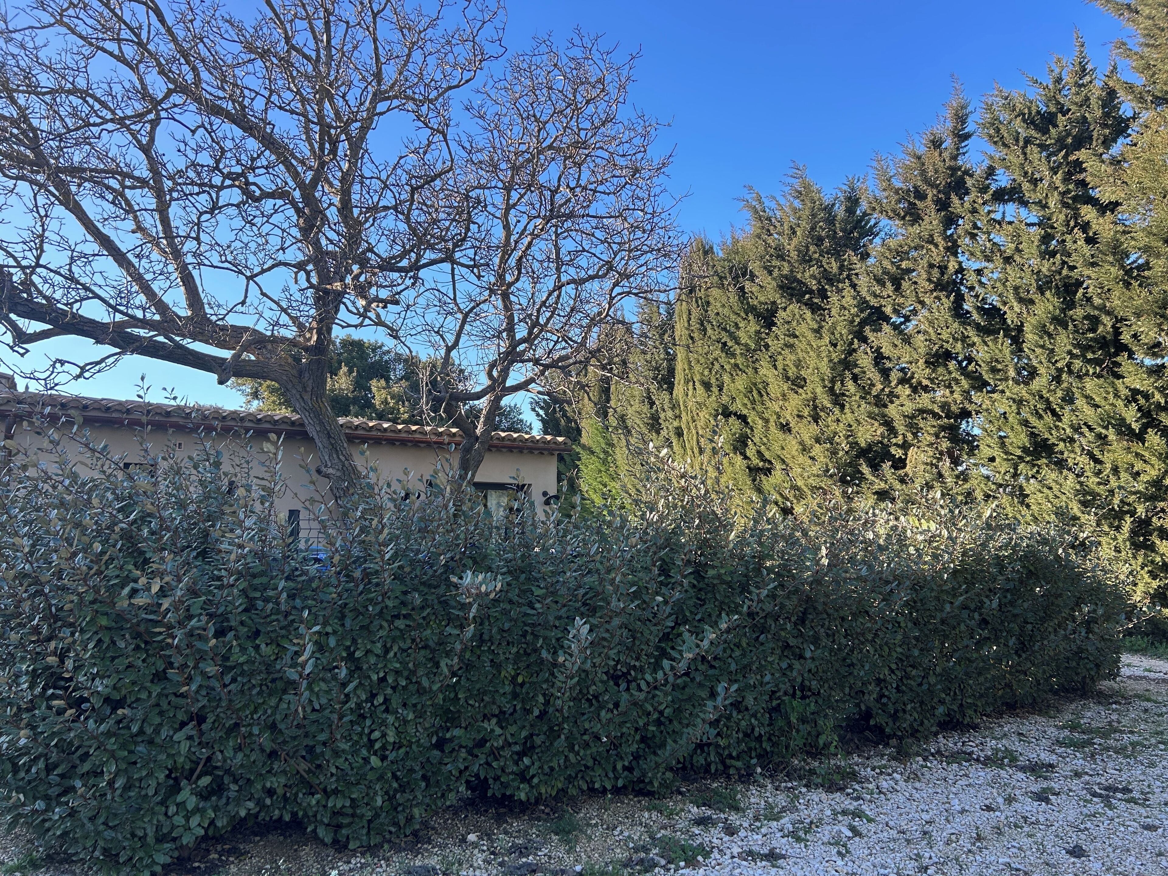 Enceinte de l’hébergement