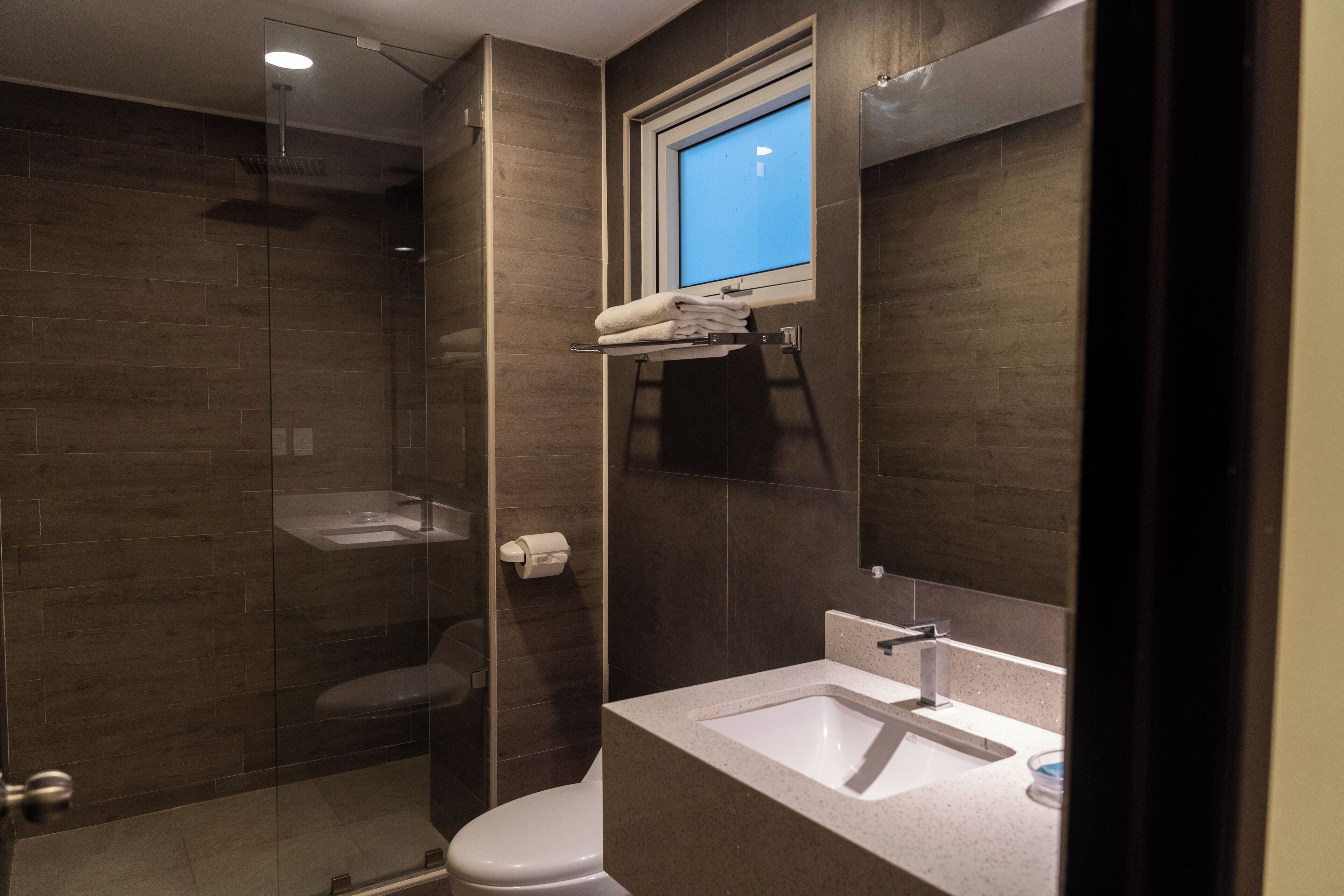 A modern bathroom with a glass-enclosed shower, a toilet, and a sink with a mirror above.