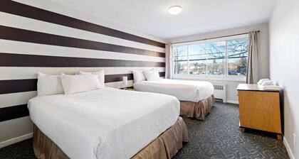 Spacious apartments located close to any stores and restaurants.